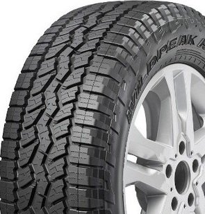 WILDPEAK AT3 WA (CARGA)