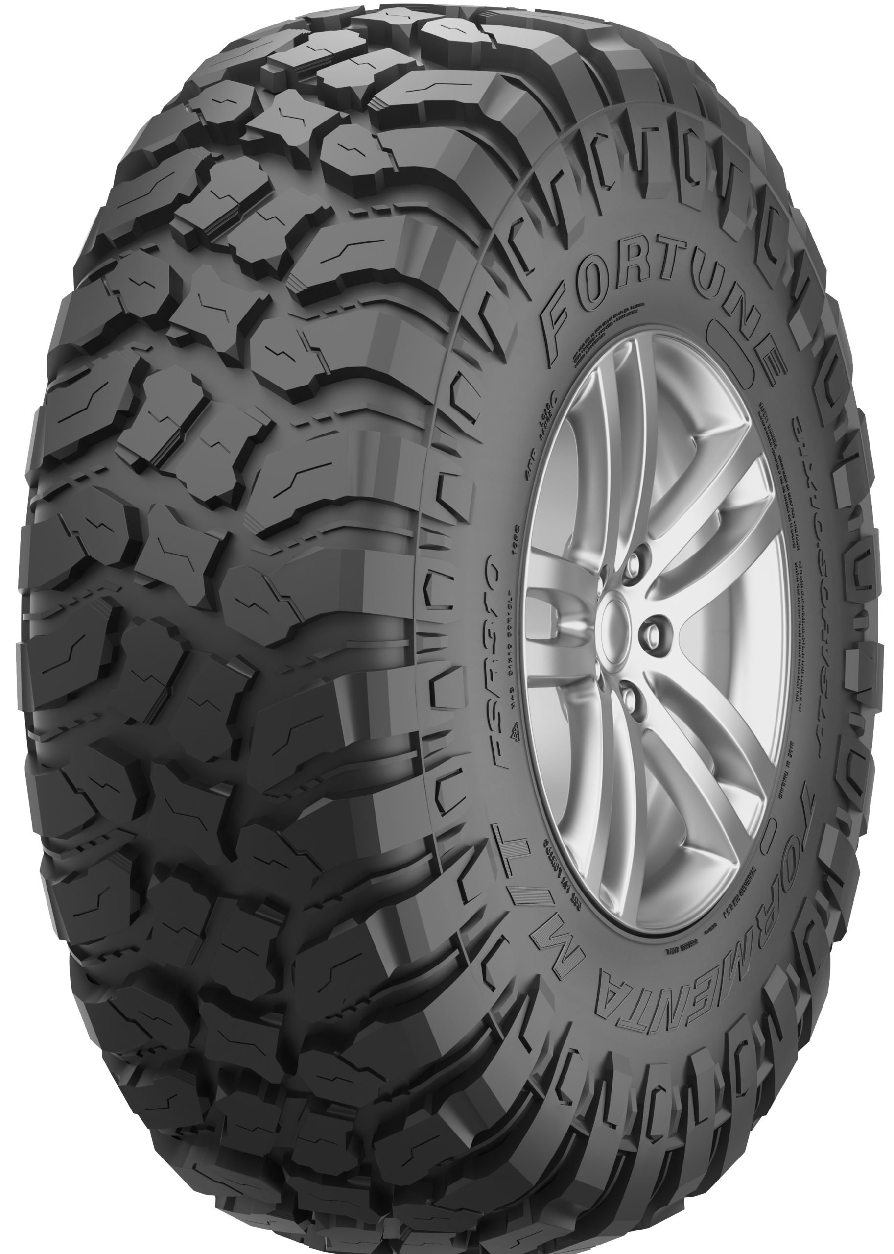 FSR 310 MT (CARGA 10PR)