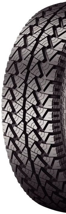FSR 302 AT