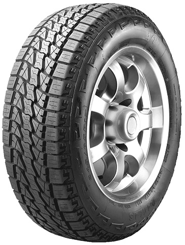 LION SPORT AT (CARGA 10PR)